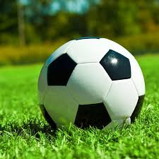 14场胜负彩历史开奖数据库展示界面